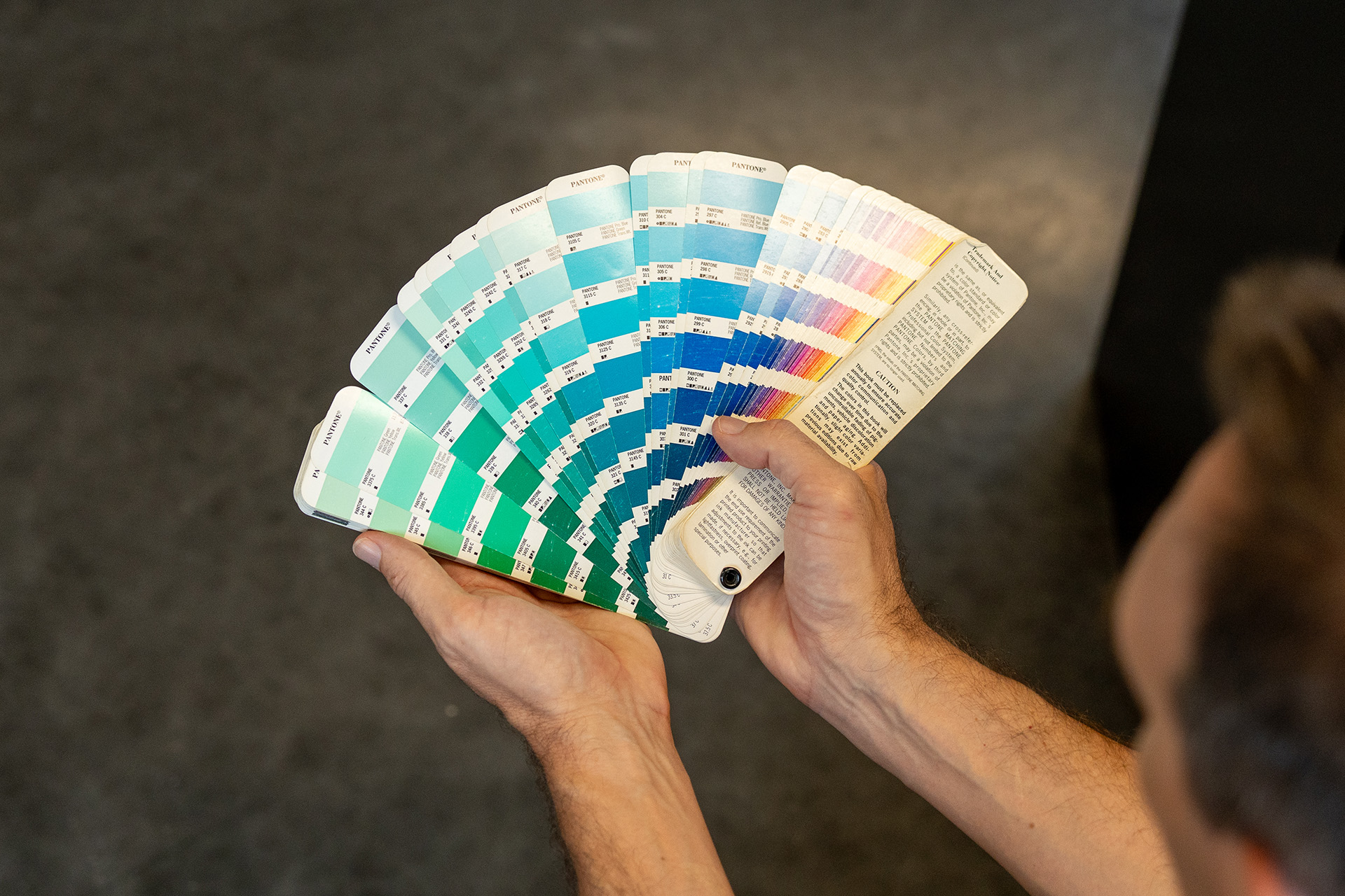 Nuancier de couleurs utilisé pour illustrer les prestations graphiques de Cactus